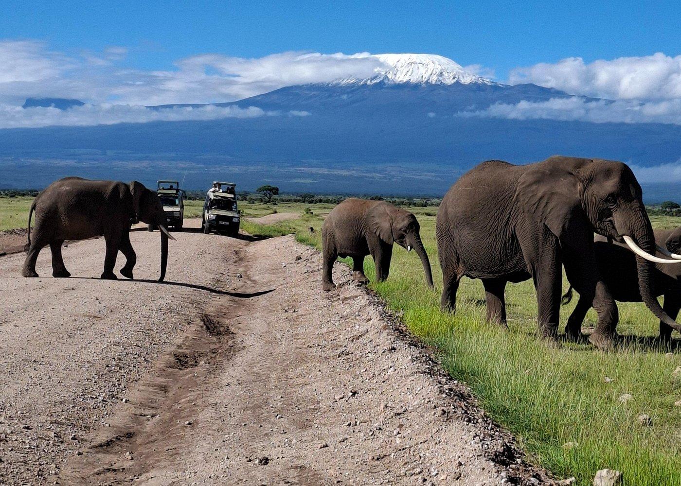 3-Day Amboseli Safari from Nairobi: Elephants, Kilimanjaro and Two Nights in the Wild